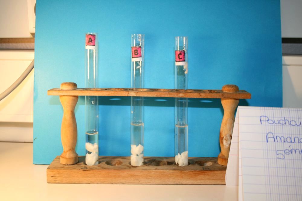 gal/LES_CINQUIEMES/ACTIVITE DIGESTION IN VITRO/Groupe_01/Groupe01_T_00h00min/Groupe01_temps00H00min_5.jpg